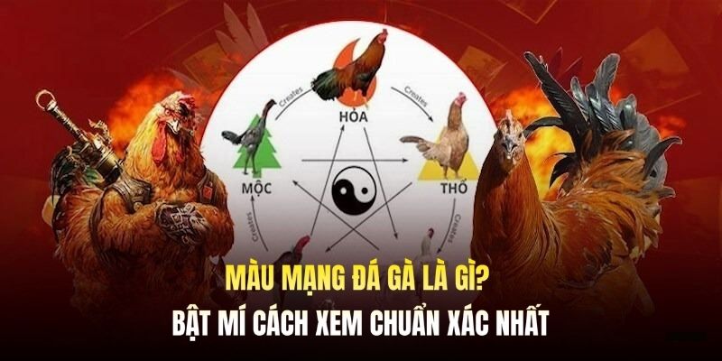 Giải thích định nghĩa về màu mạng đá gà